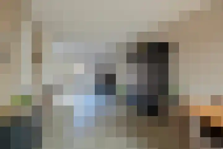 Kreeft 16 Klazienaveen thumbnail 8