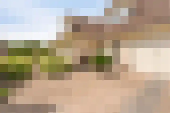 Kreeft 18 IJsselmuiden thumbnail 10