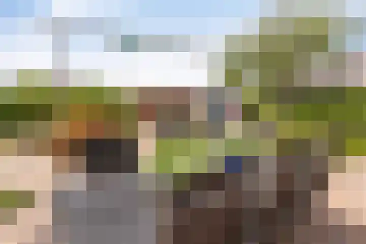 Kreeft 18 IJsselmuiden thumbnail 42