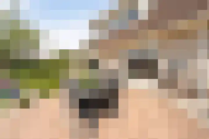Kreeft 18 IJsselmuiden thumbnail 43