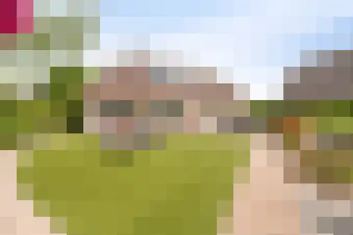 Kreeft 18 IJsselmuiden thumbnail 46
