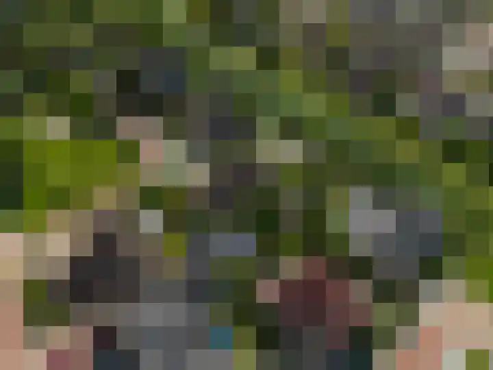 Kreeft 18 IJsselmuiden thumbnail 47