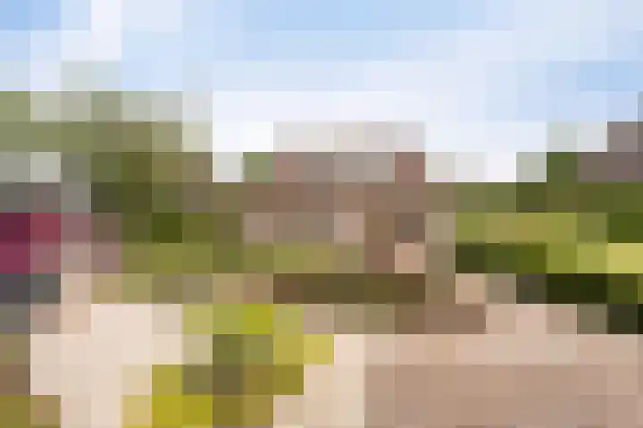 Kreeft 18 IJsselmuiden thumbnail 56