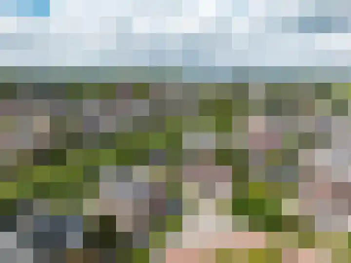 Kreeft 18 IJsselmuiden thumbnail 7