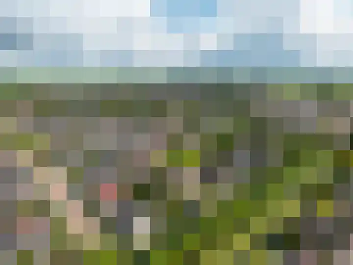 Kreeft 18 IJsselmuiden thumbnail 81