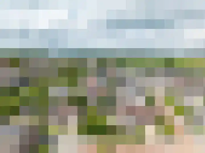 Kreeft 18 IJsselmuiden thumbnail 82