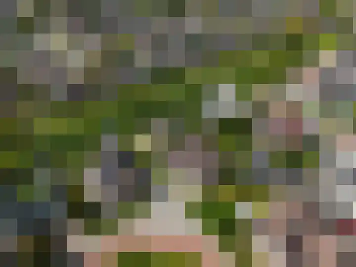 Kreeft 18 IJsselmuiden thumbnail 83