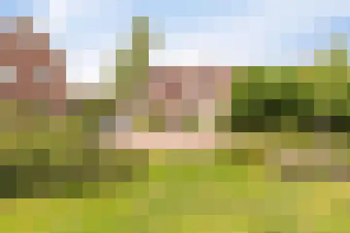 Kreeft 18 IJsselmuiden thumbnail 84