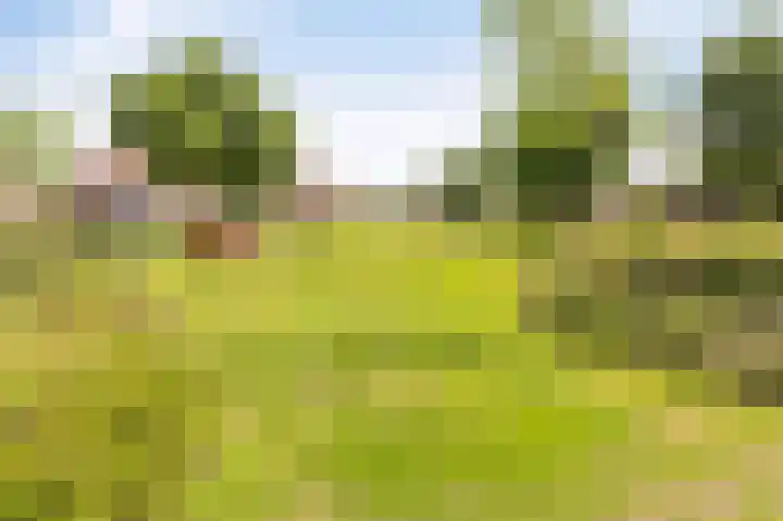 Kreeft 18 IJsselmuiden thumbnail 85