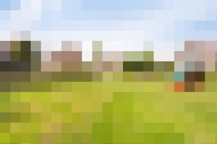 Kreeft 18 IJsselmuiden thumbnail 86