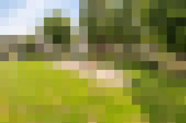 Kreeft 18 IJsselmuiden thumbnail 87
