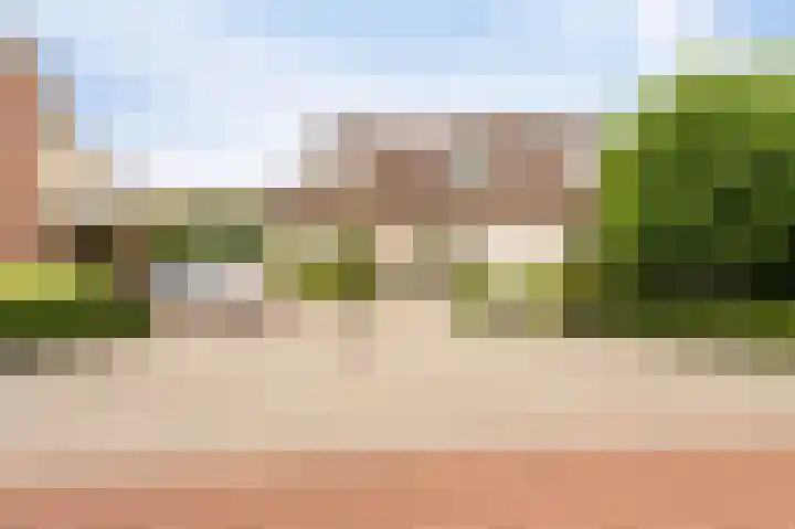 Kreeft 18 IJsselmuiden thumbnail 9
