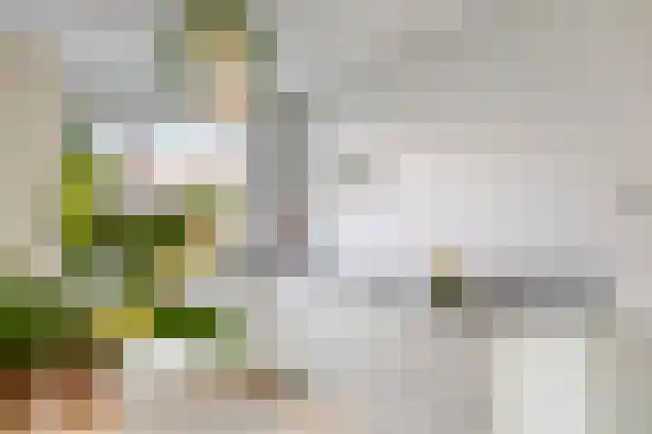 Kreeft 22 Elst thumbnail 13