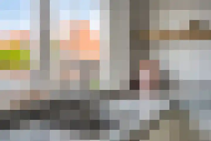 Kreeft 22 Elst thumbnail 15