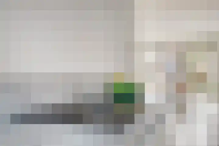 Kreeft 22 Elst thumbnail 16
