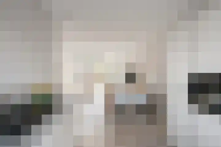 Kreeft 22 Elst thumbnail 17