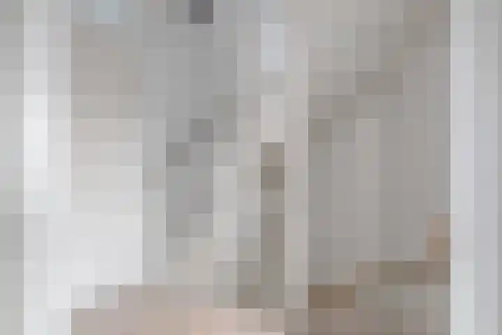 Kreeft 22 Elst thumbnail 18
