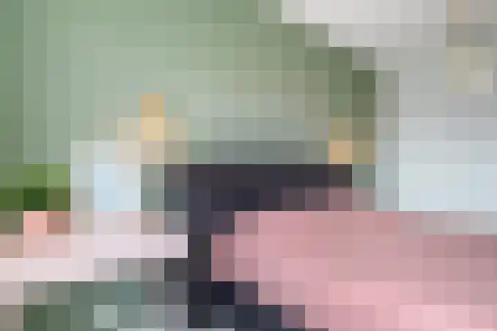 Kreeft 22 Elst thumbnail 20