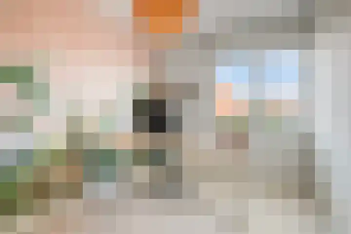 Kreeft 22 Elst thumbnail 24
