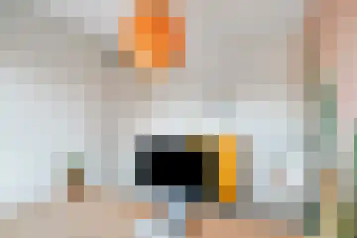 Kreeft 22 Elst thumbnail 25
