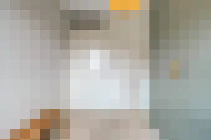 Kreeft 22 Elst thumbnail 27