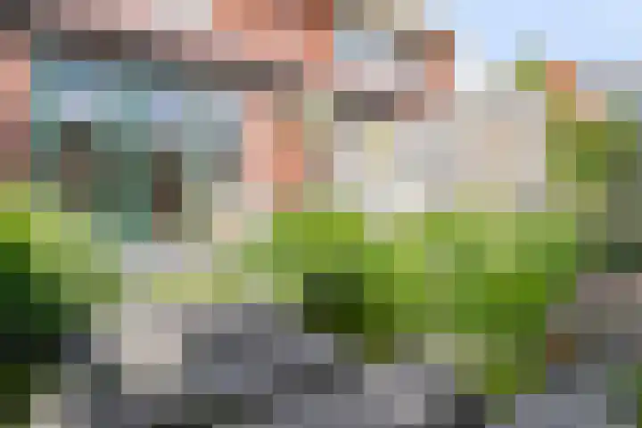 Kreeft 22 Elst thumbnail 34