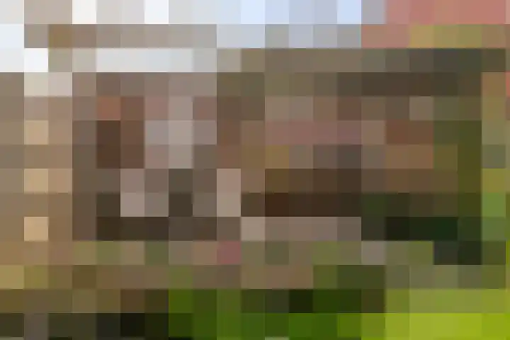 Kreeft 22 Elst thumbnail 35