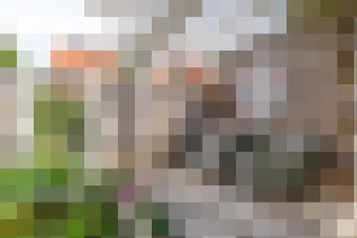 Kreeft 22 Elst thumbnail 36