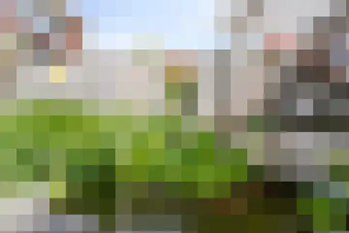 Kreeft 22 Elst thumbnail 37