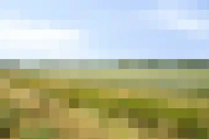 Kreeft 22 Elst thumbnail 39