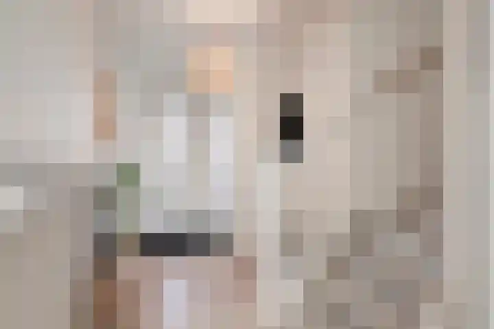 Kreeft 22 Elst thumbnail 4