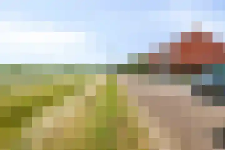 Kreeft 22 Elst thumbnail 40
