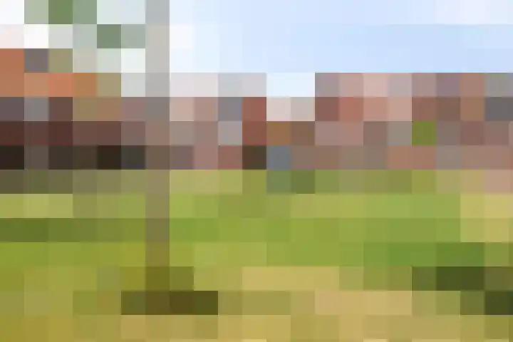 Kreeft 22 Elst thumbnail 41