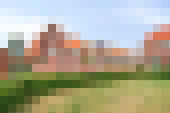 Kreeft 22 Elst thumbnail 42