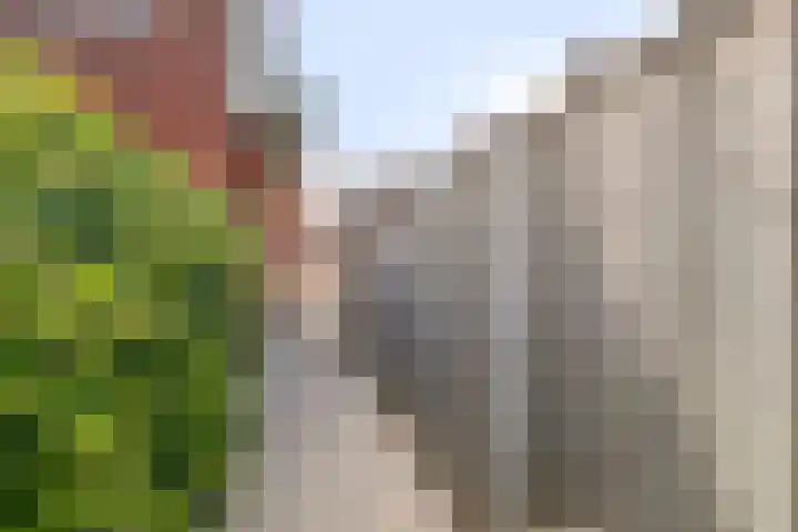 Kreeft 22 Elst thumbnail 43