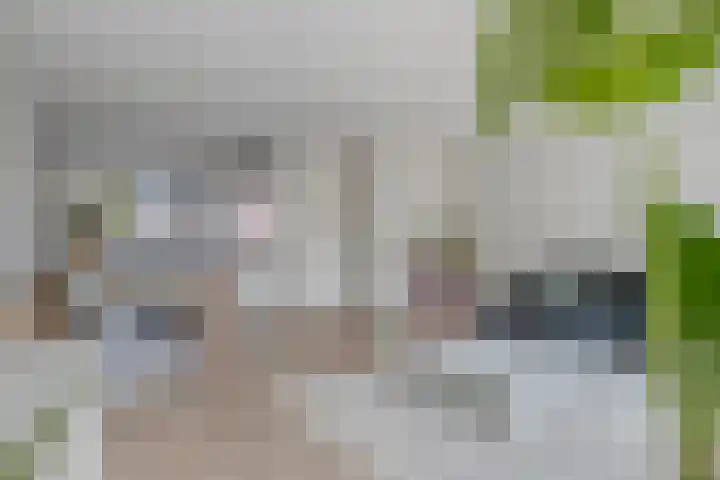 Kreeft 22 Elst thumbnail 9