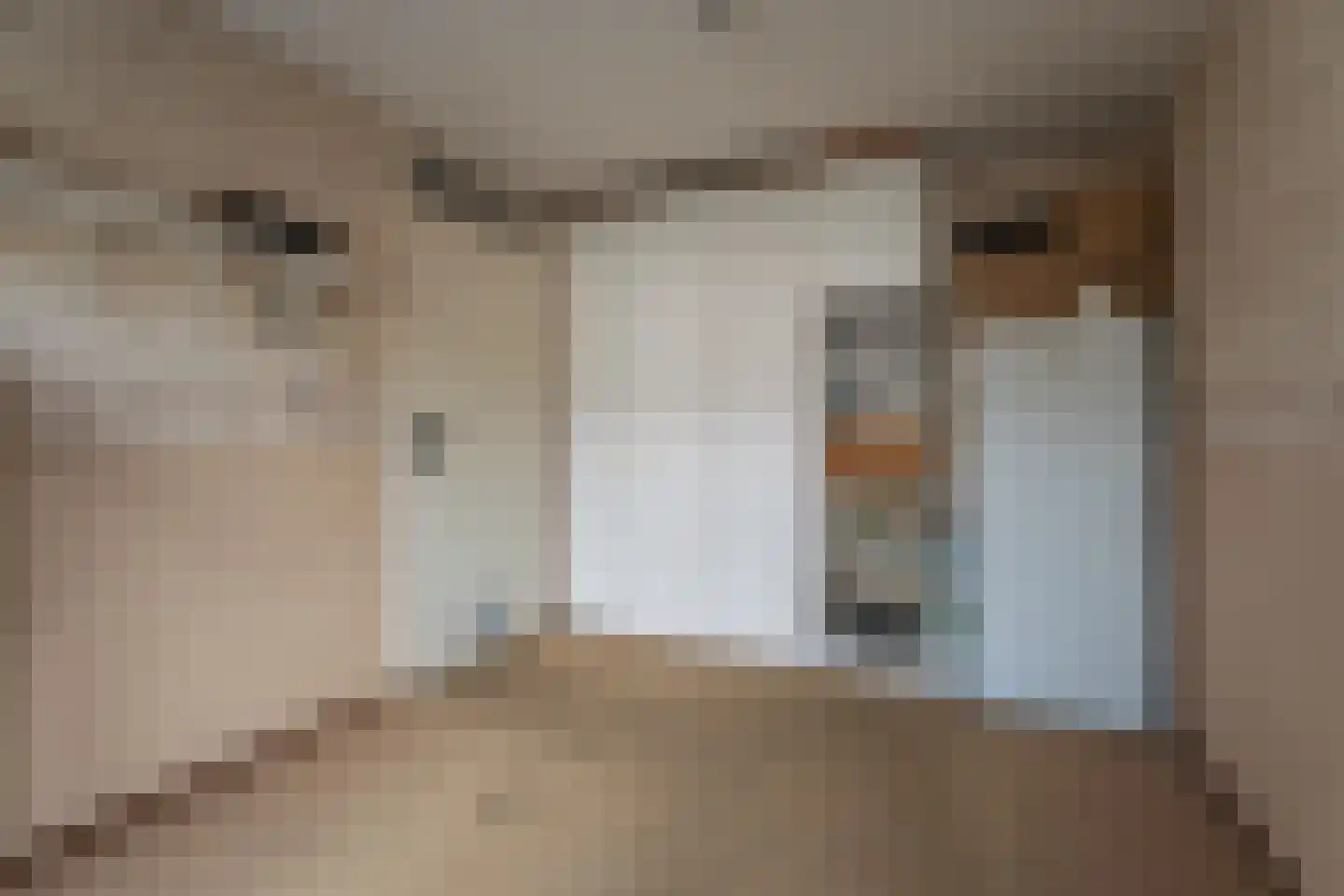 Kreeft 29 Katwijk thumbnail 24