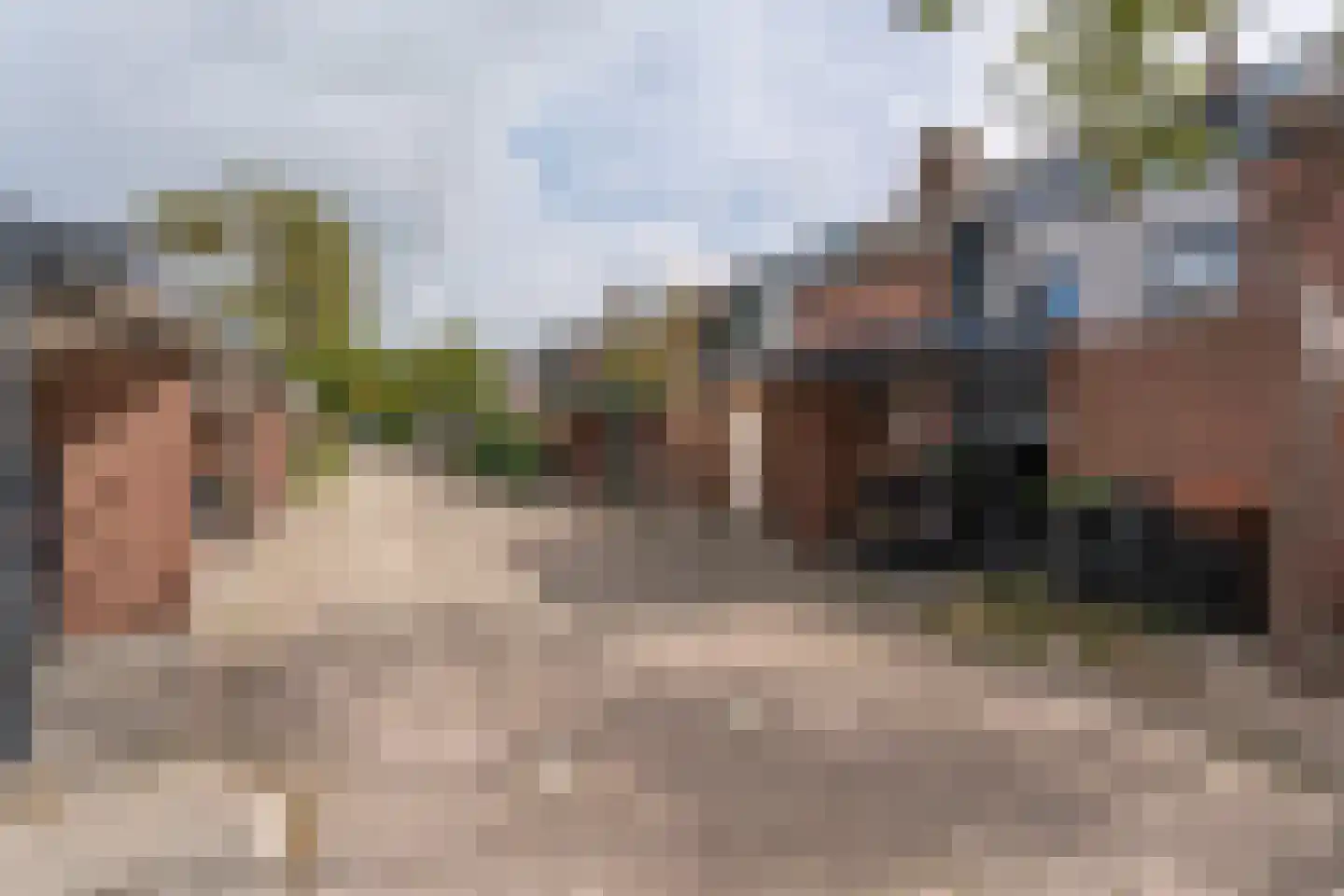 Kreeft 29 Katwijk thumbnail 39