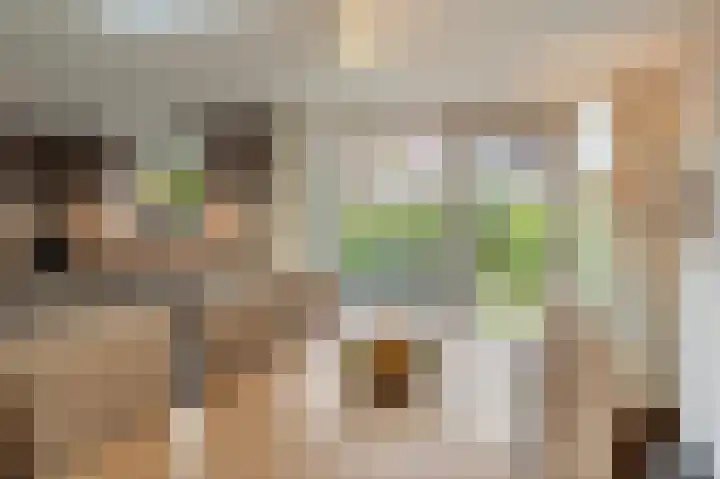 Kreeft 49 IJsselmuiden thumbnail 21