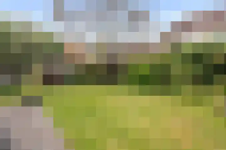 Kreeft 49 IJsselmuiden thumbnail 29