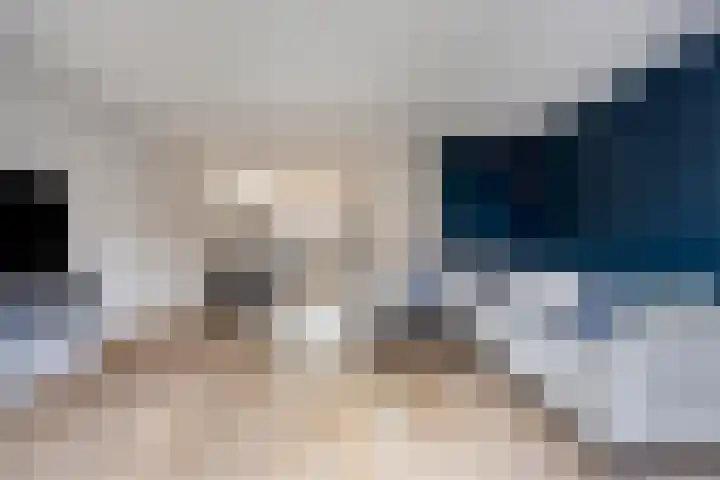 Kreeft 7 Elst thumbnail 12