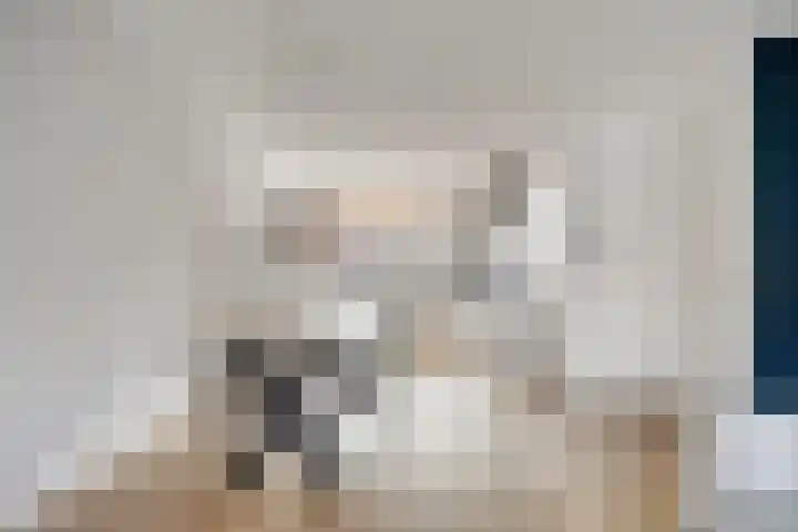 Kreeft 7 Elst thumbnail 13