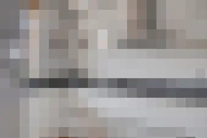 Kreeft 7 Elst thumbnail 16