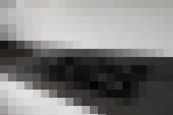 Kreeft 7 Elst thumbnail 17