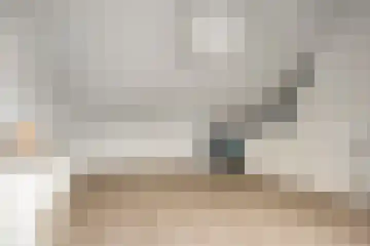Kreeft 7 Elst thumbnail 31