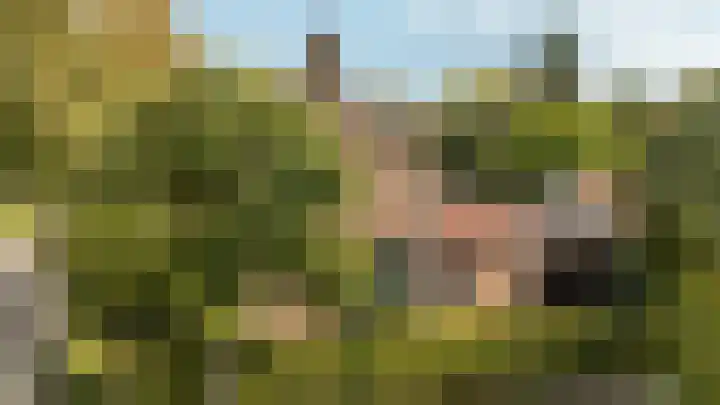Kreeft 7 Elst thumbnail 32