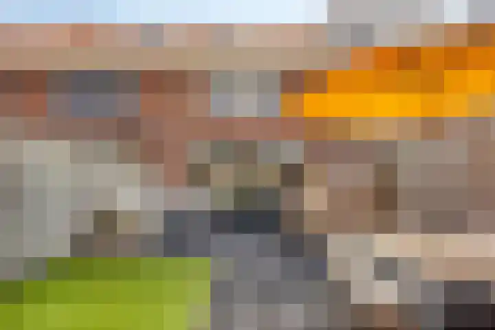 Kreeft 7 Elst thumbnail 35