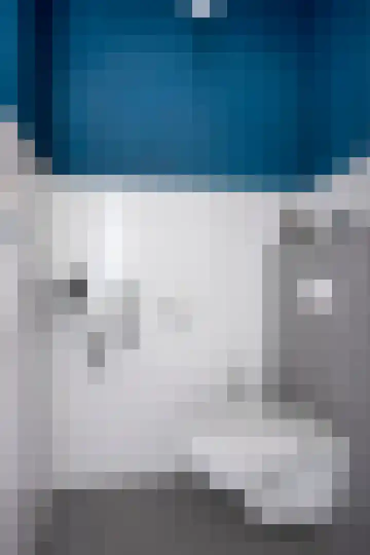 Kreeft 7 Elst thumbnail 8