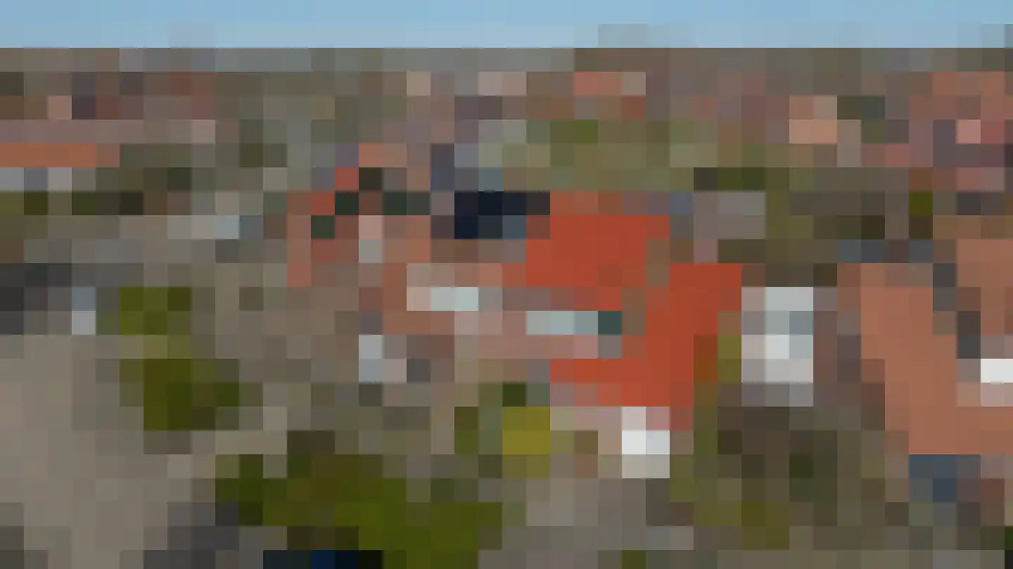 Kreeft 80 Hellevoetsluis thumbnail 8