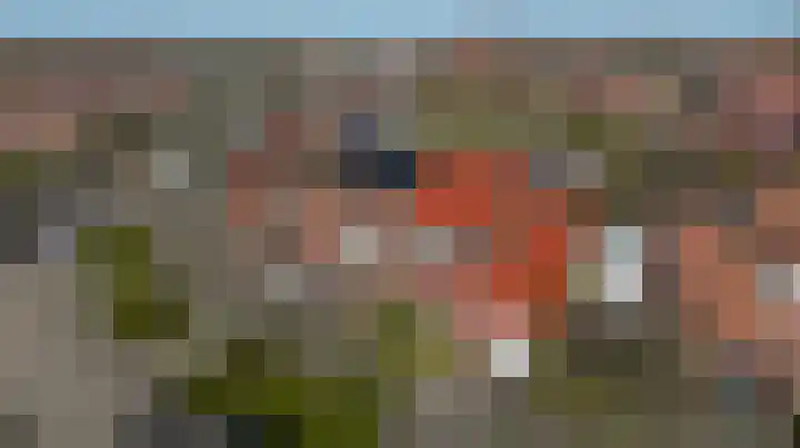 Kreeft 80 Hellevoetsluis thumbnail 8